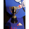 Sjov sangskjuler til Badmintonspilleren med guldpokal  Mål Bredde: 17,5 cm Højde: 22,5 cm Dybde 5 cm    Blå