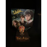 Flot Harry Potter sangskjuler med 3 d printet Tryllestav og mystik.